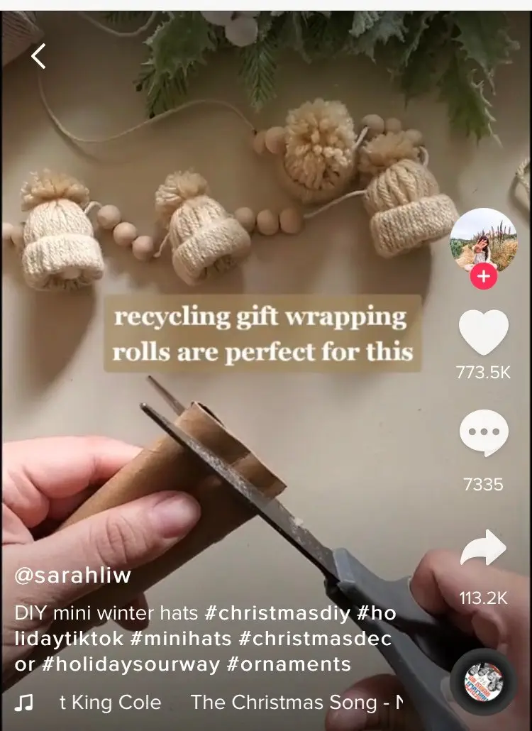 Image credit: TikTok l @sarahliw