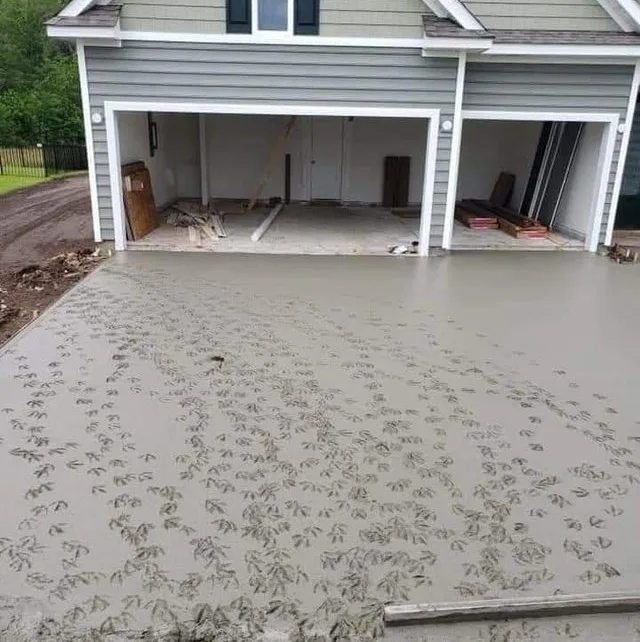 Image credit: Reddit | BluestarHUS