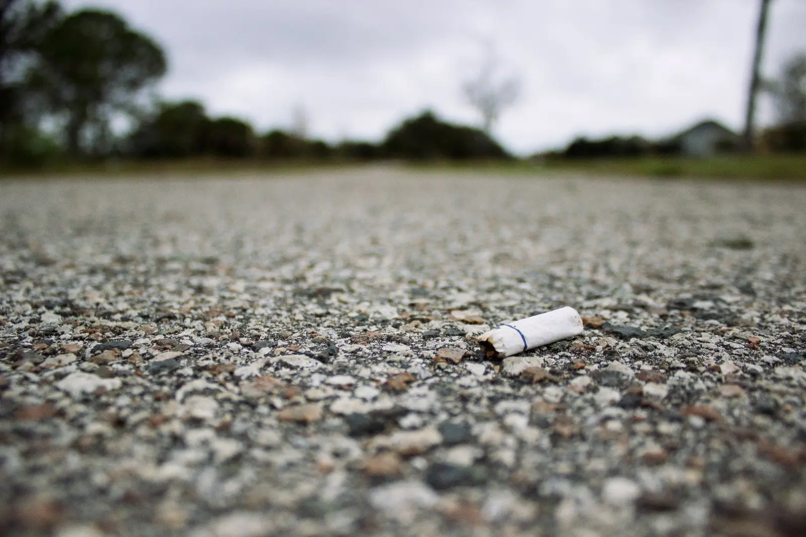Image credit: Unsplash | Andrew Pons