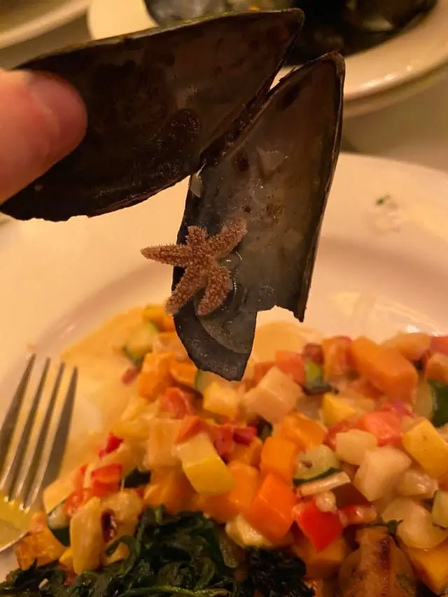 Image credit: Reddit | MacaronCats