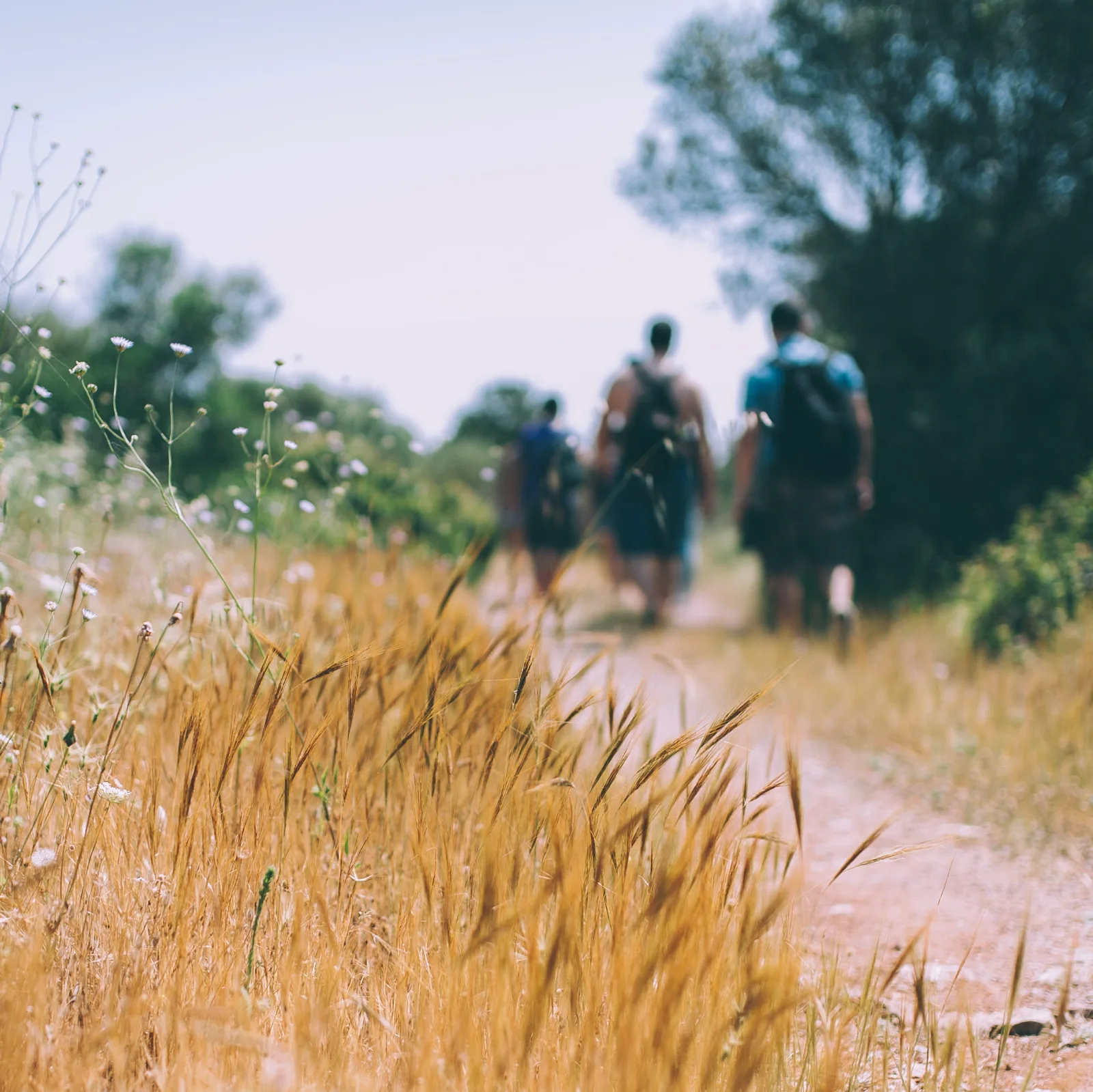 Image credit: Unsplash | Angelo Pantazis