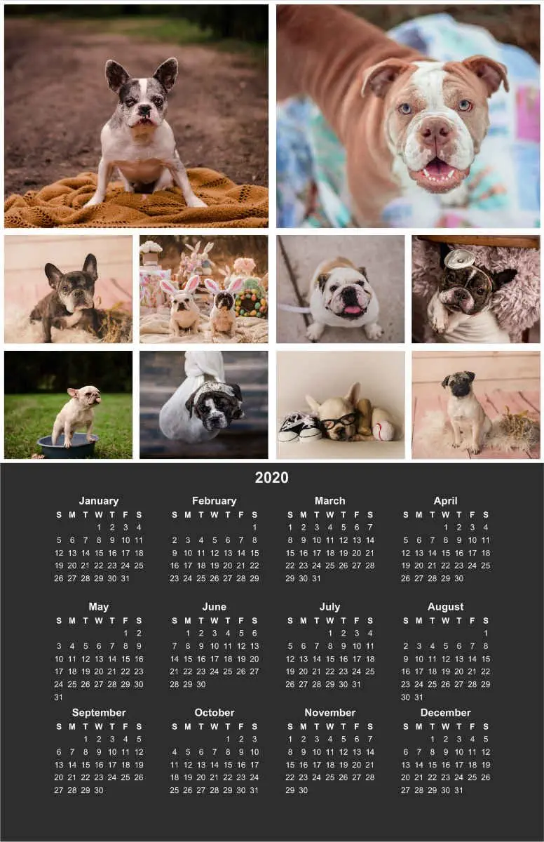 Image credit: Create Photo Calendars