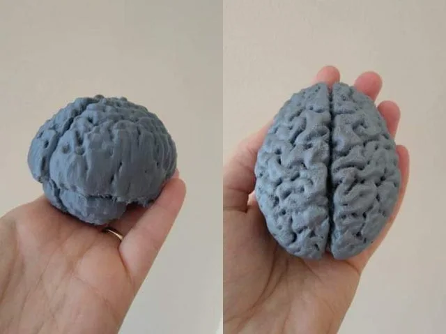 Image credit: Reddit | apearlinmyhead