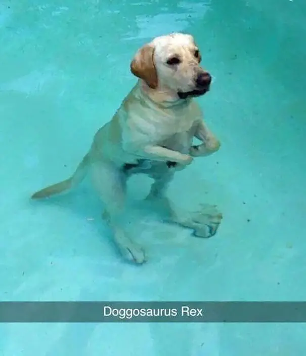 Image credit: Reddit | NoM_NoM_Sn1p3r