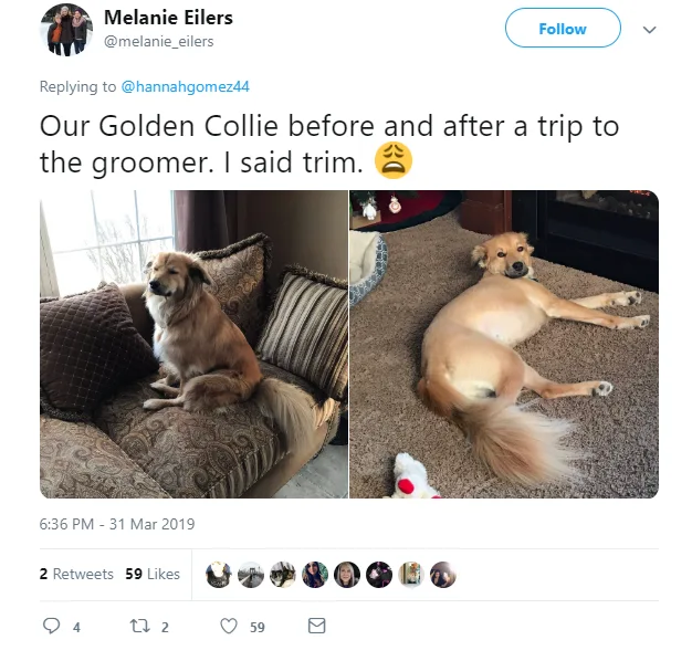 Image credit: Twitter | @melanie_eilers