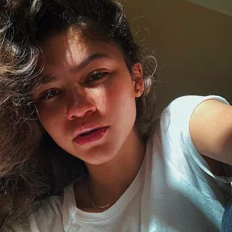 Image credit: Instagram | @Zendaya