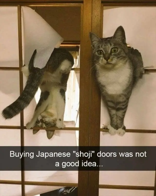 Image credit: Reddit | l33jiyoung