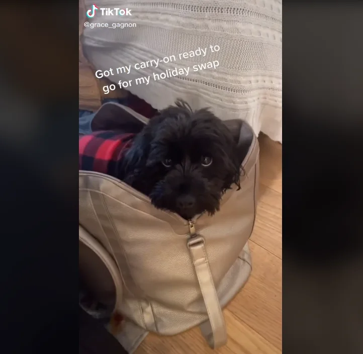 Image credit: TikTok | @grace_gagnon