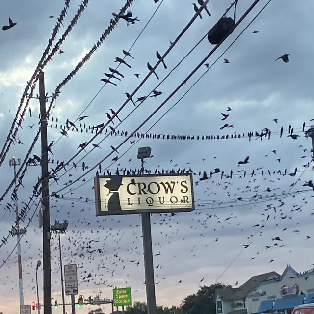 Image credit: Reddit | lacrimosian