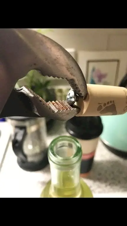 Image credit: Reddit | NotsoGreatsword