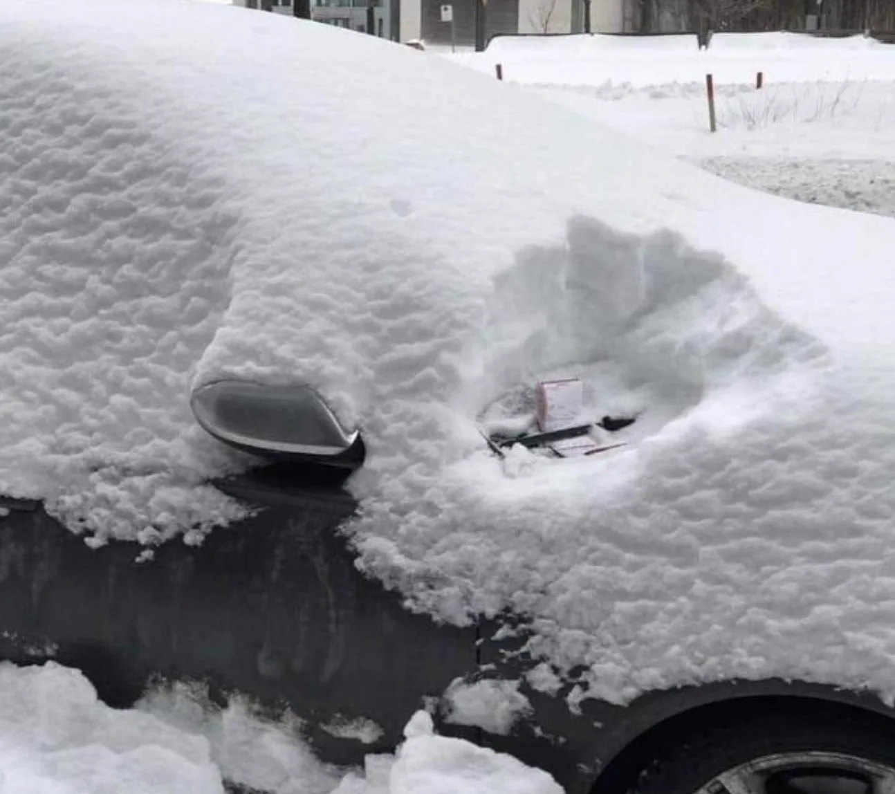 Image credit: Reddit | Chemoot