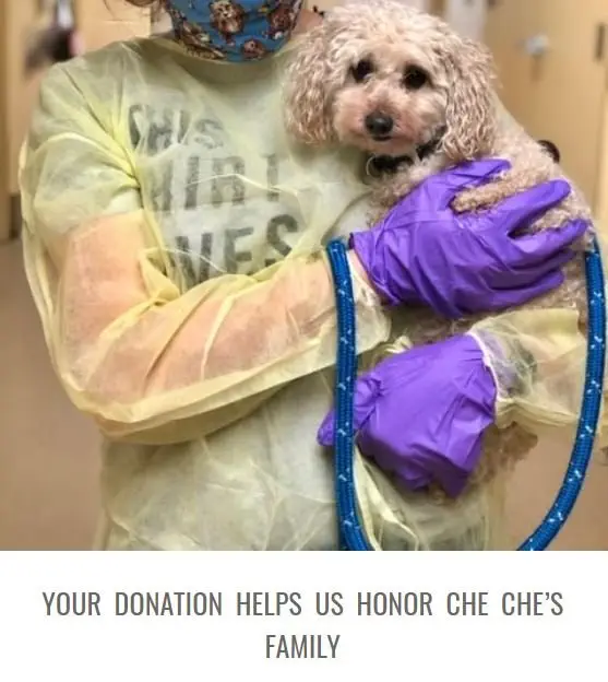 Image credit: Monmouth County SPCA