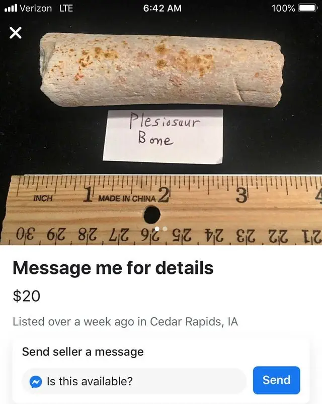 Image credit: Reddit | kelsiuhm