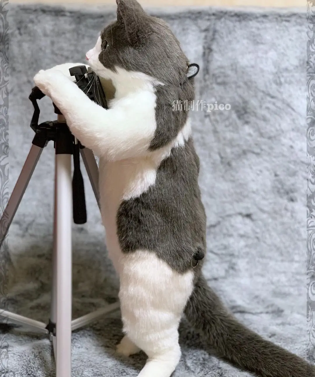 Image credit: nekoseisaku_pico