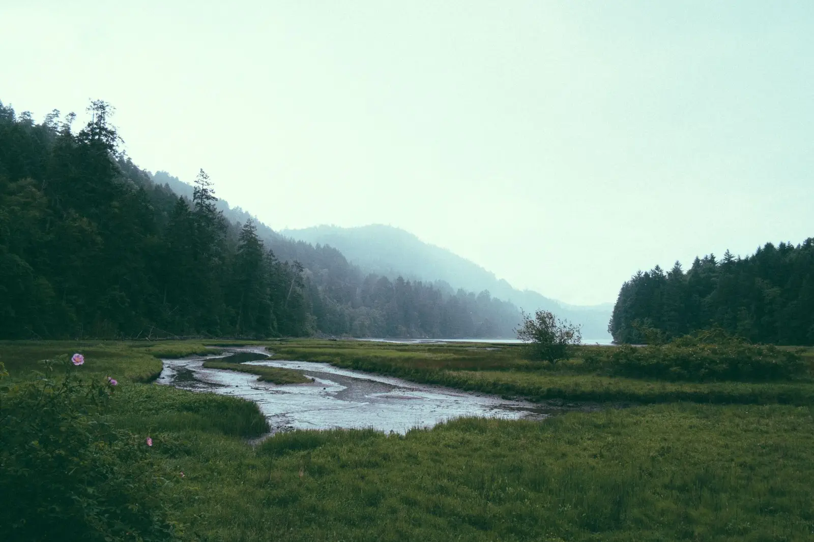 Image credit: Unsplash | Paul Jarvis