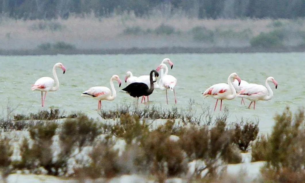 Image credit: Reuters | Marinos Meletiou