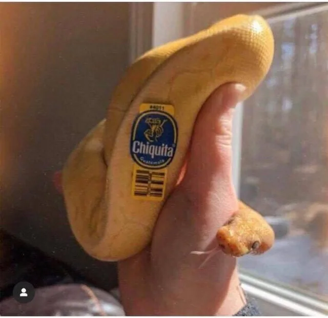 Image credit: Reddit | DumpsterEnFuego