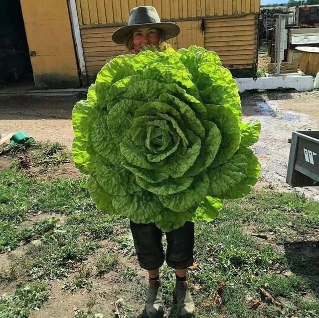 Image credit: Reddit | Timazie