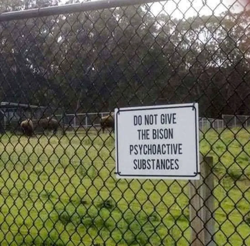 Image credit: Reddit | MrNoName_ishere
