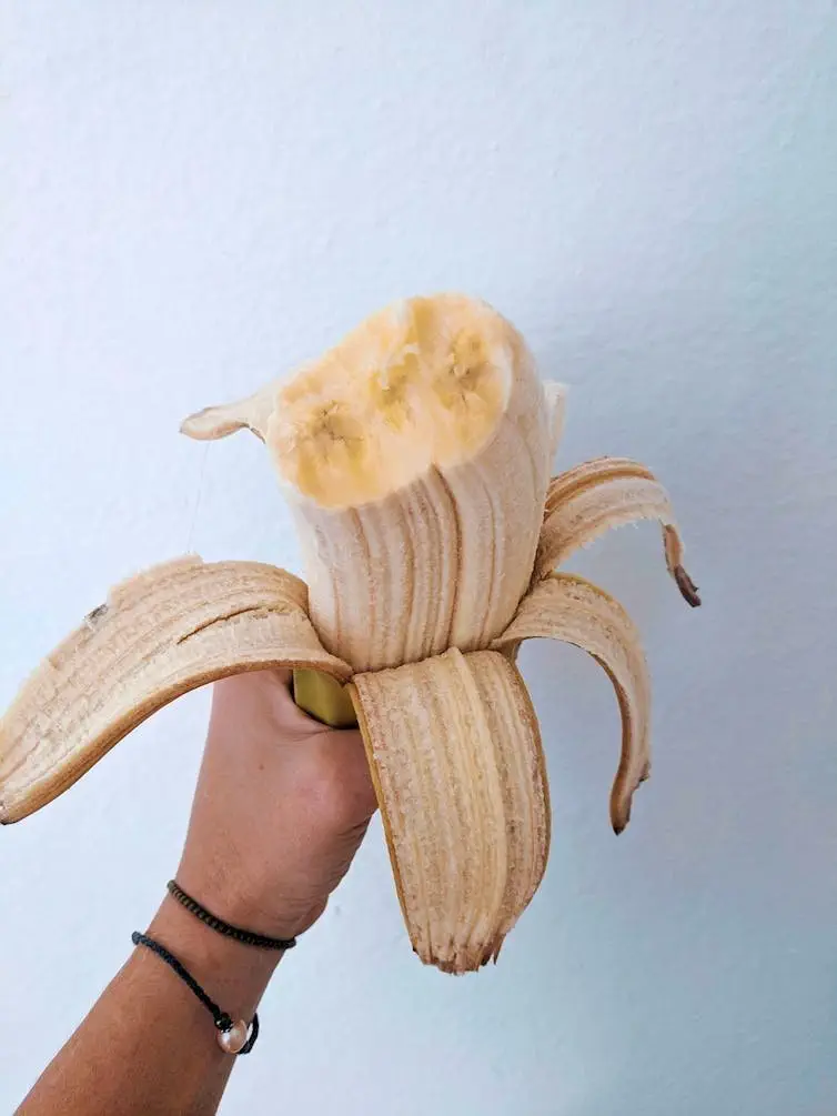 Image credit: Reddit | teasloth