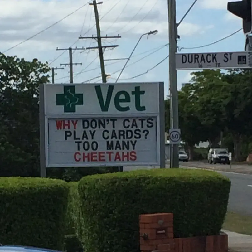 Image credit: Imgur | MYNAMEISCATBUGWHATSYOURS
