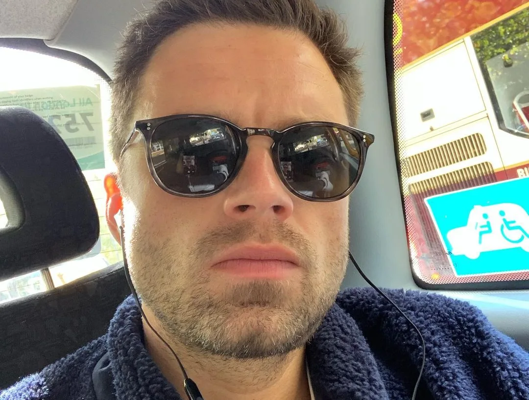 Image credit: Instagram | @imsebastianstan