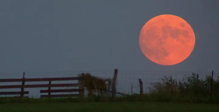 Image credit: https://diplycom5cc47.zapwp.com/q:i/r:0/wp:1/w:1/u:https://commons.wikimedia.org/wiki/File:Harvest_moon.jpg