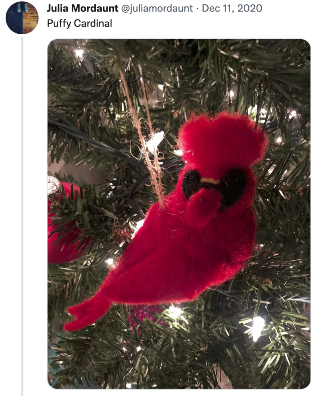 Image credit: Twitter | @juliamordaunt