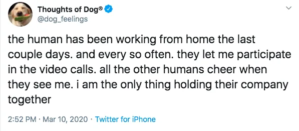 Image credit: Twitter l @dog_feelings