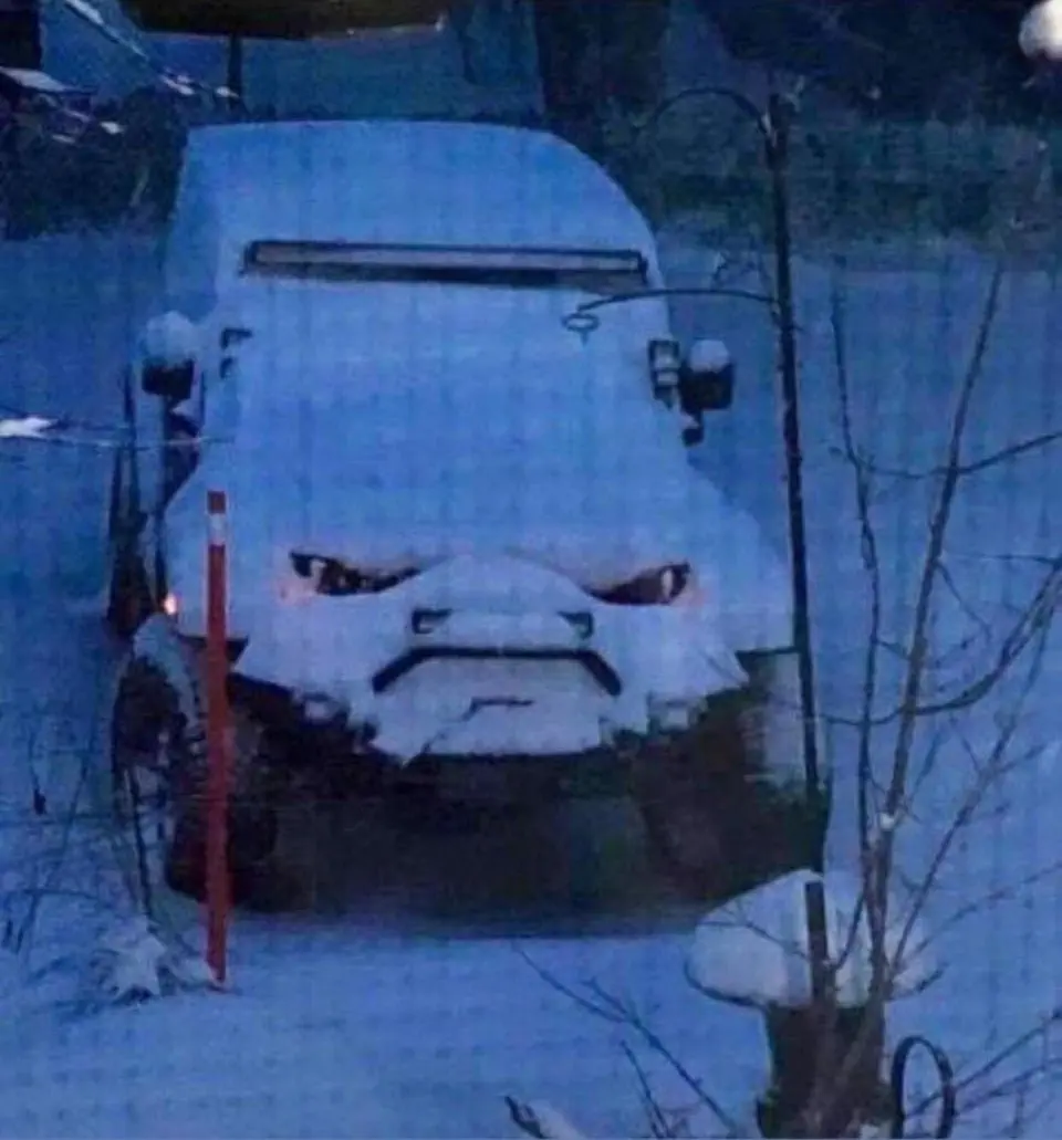 Image credit: Reddit | Melty_McDonald