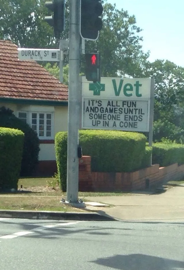 Image credit: Reddit | angelshare