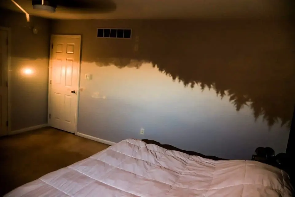 Image credit: Reddit | licenseles5