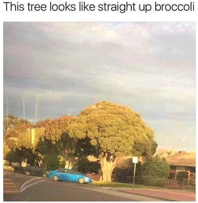 Image credit: Instagram | @ifunnymeme