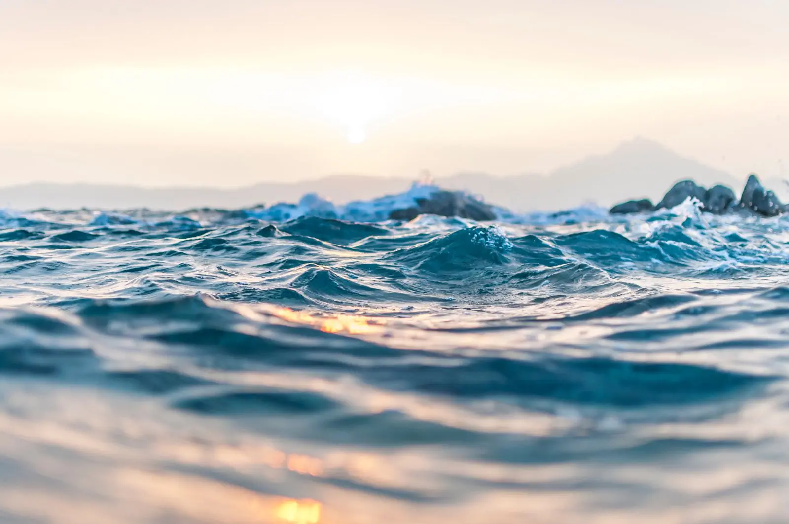 Image credit: Unsplash | Anastasia Taioglou