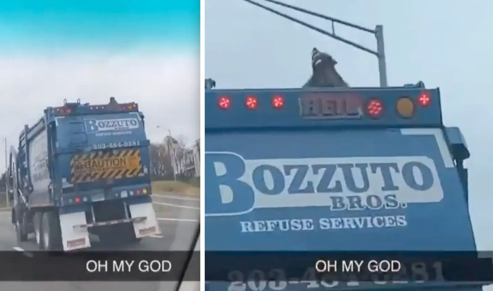 Image credit: Reddit | JDBAZ
