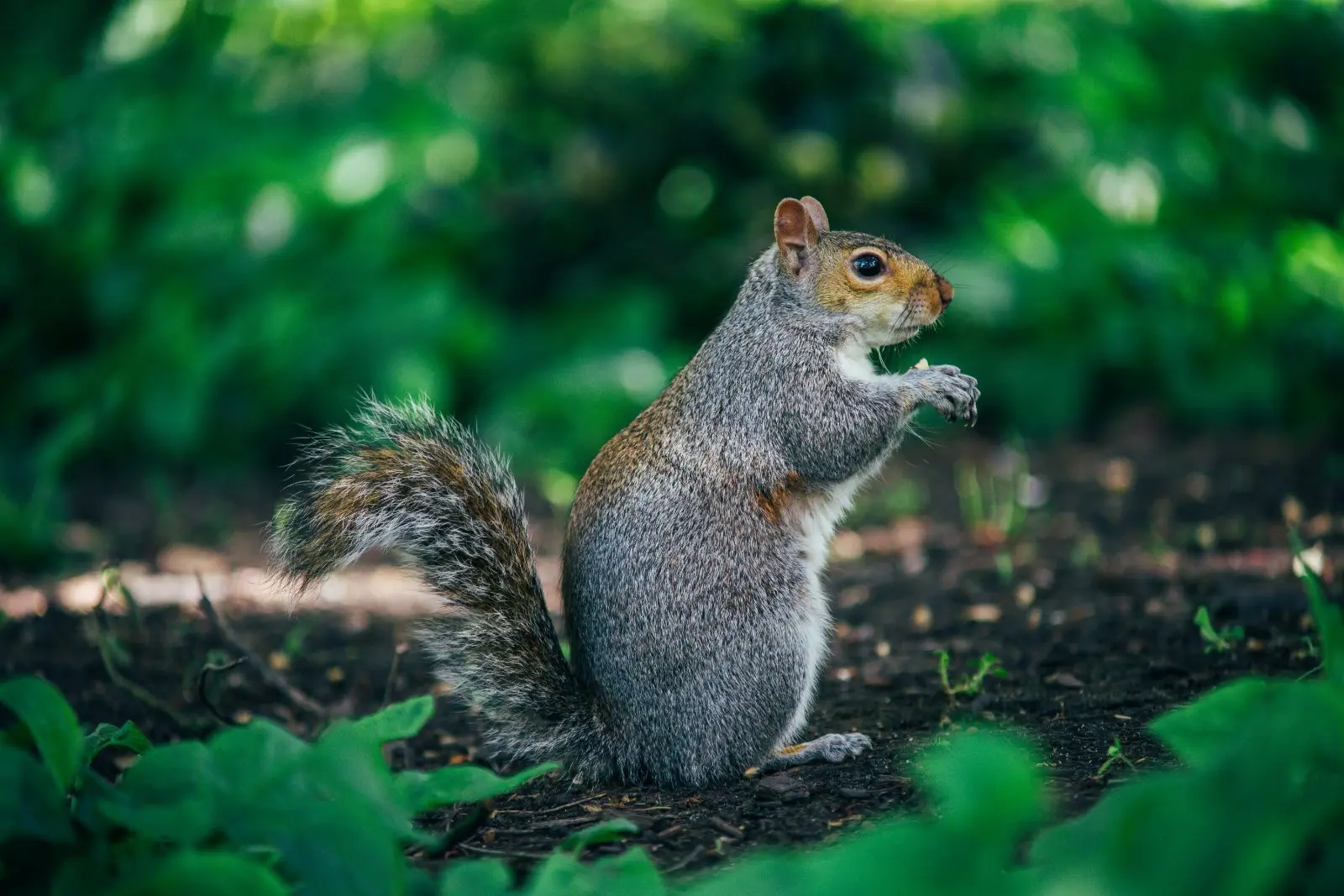 Image credit: Unsplash | Osman Köycü
