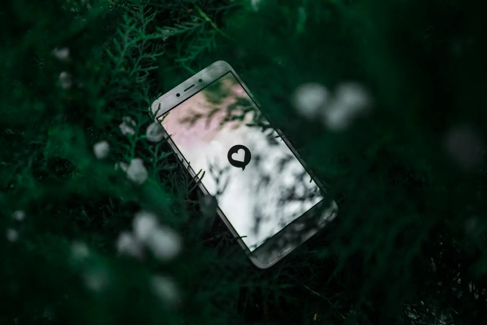 Image credit: Unsplash | Pratik Gupta