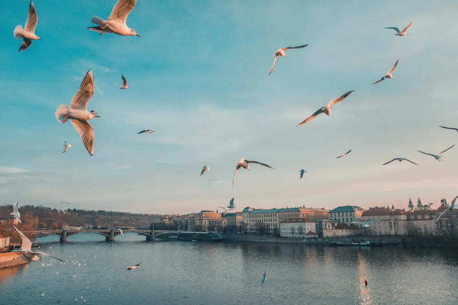 Image credit: Unsplash | Anthony DELANOIX