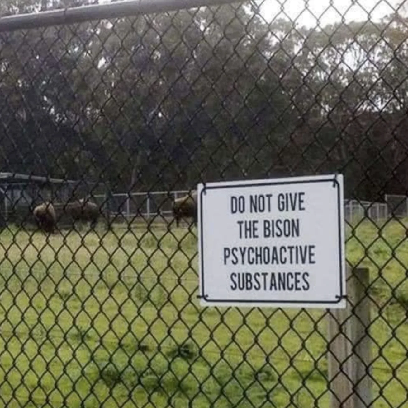 Image credit: Reddit | MrNoName_ishere