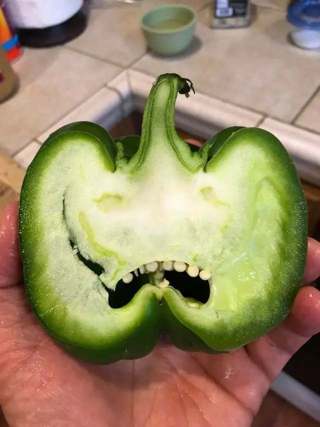 Image credit: Reddit | EmployeesCantOpnSafe