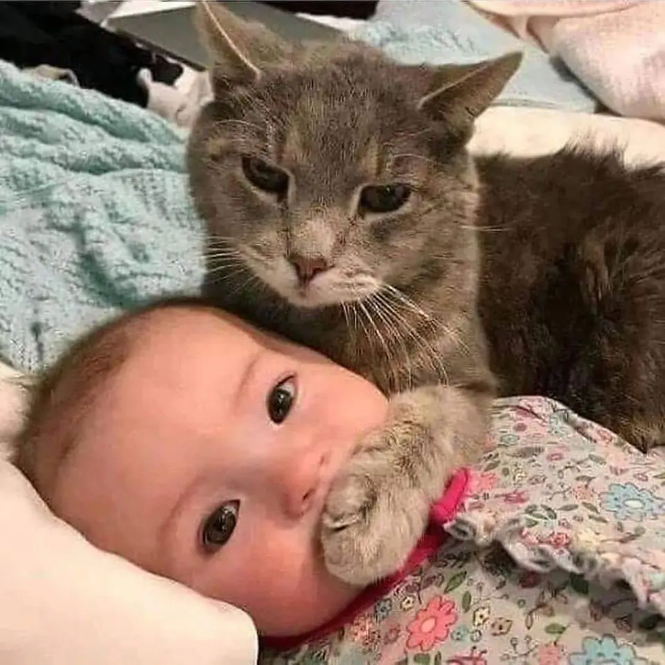 Image credit: Reddit | Gato1980