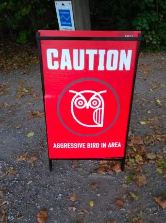 Image credit: Reddit | this_one_in_boots