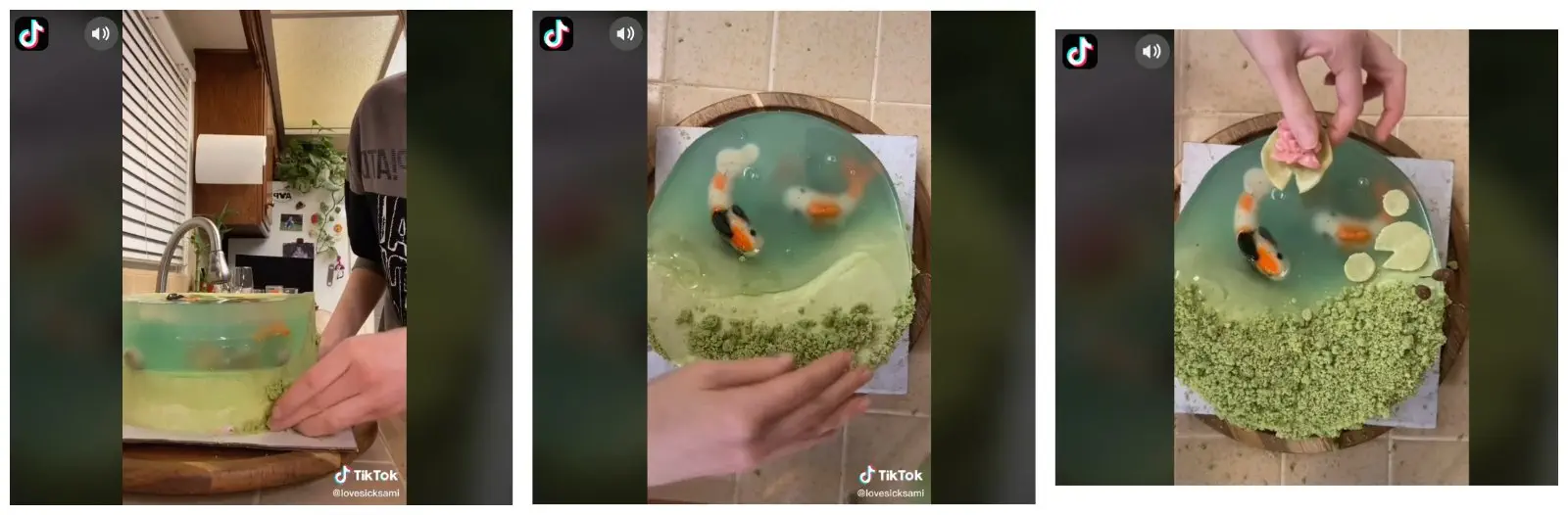 Image credit: TikTok | @lovesicksami