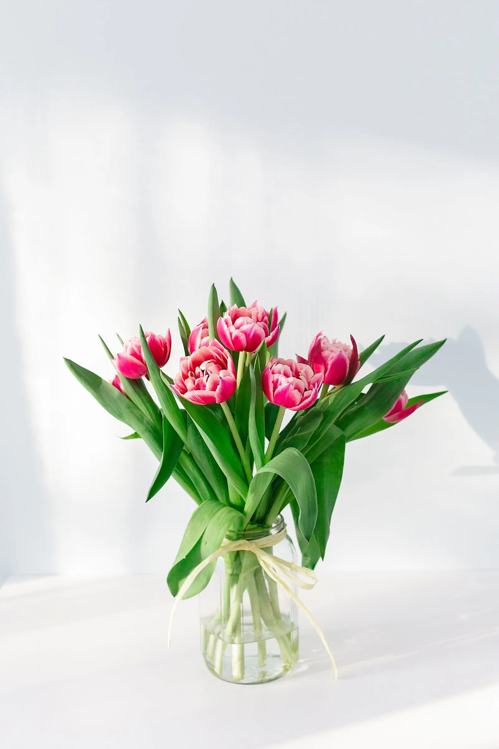Image credit: Unsplash | Uljana Maljutina