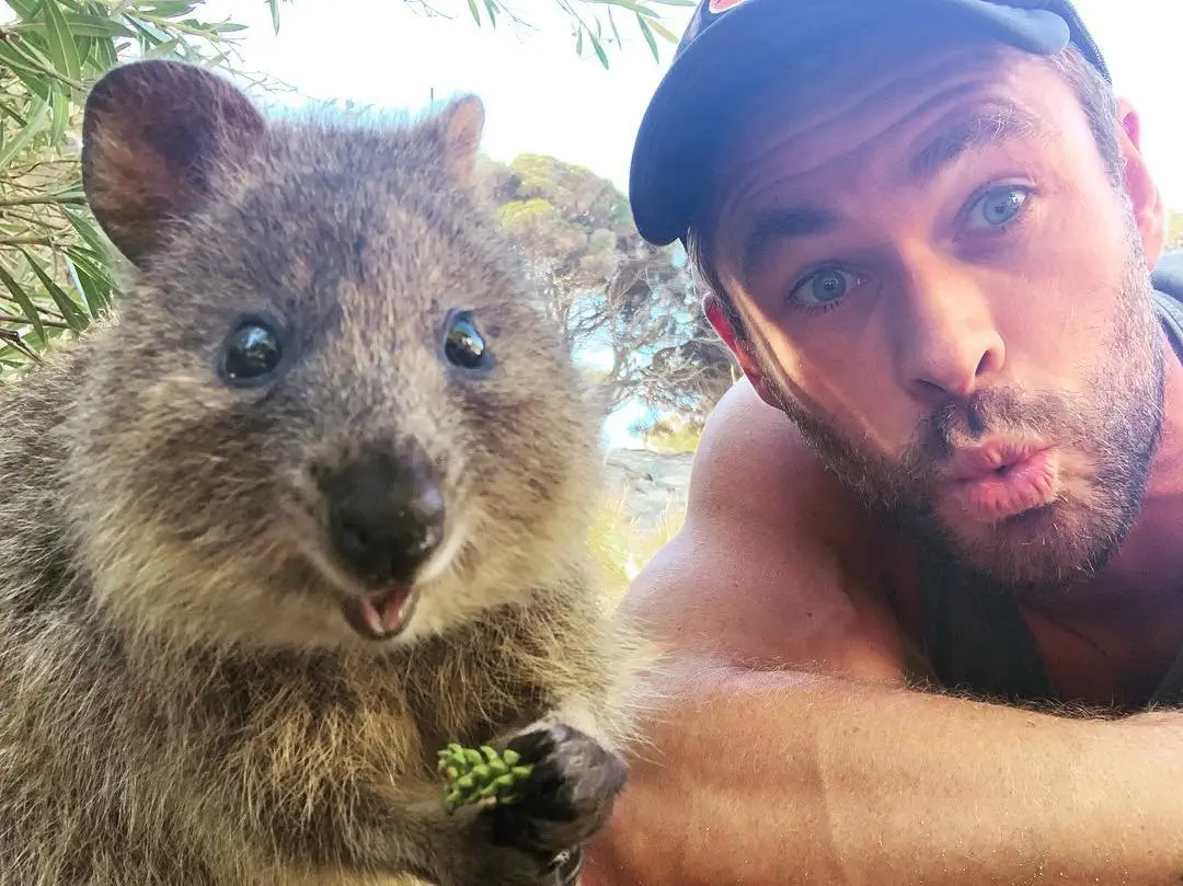 Image credit: Instagram | @chrishemsworth