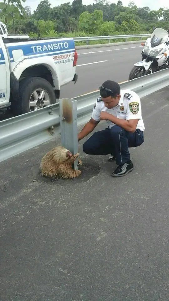 Image credit: Facebook | Comisión de Tránsito del Ecuador