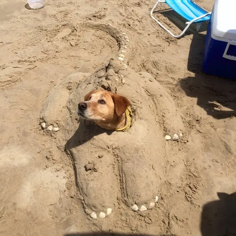 Image credit: Reddit | GallowBoob