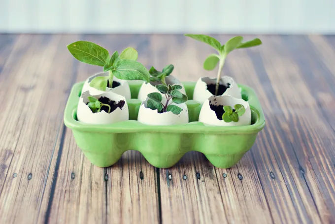 Image credit: A Simple Pantry