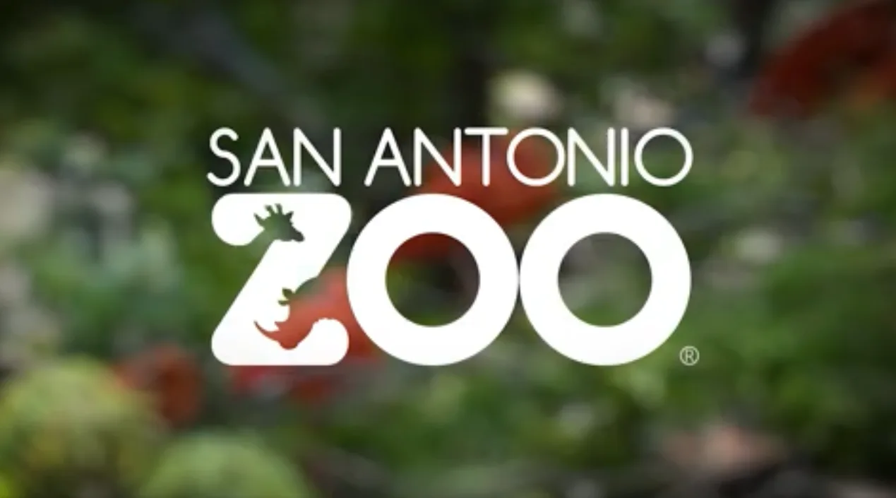 Image credit: Facebook | San Antonio Zoo