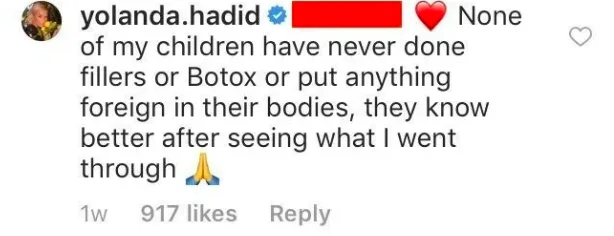 Image credit: Instagram | @yolanda.hadid